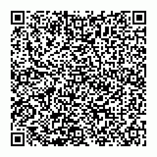 vCard 74951314247