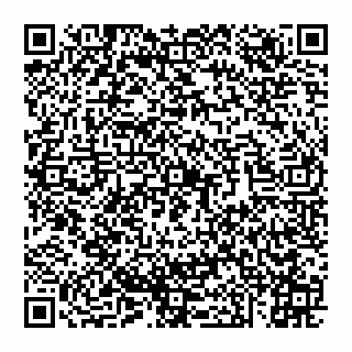 vCard 74951314735