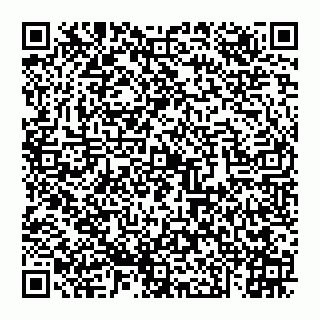 vCard 74951316271