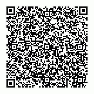 vCard 74951316273