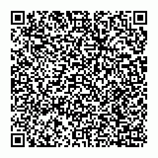 vCard 74951319027