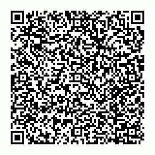 vCard 74951319033