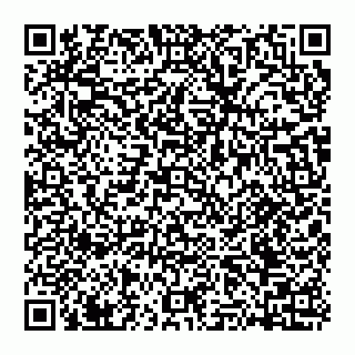 vCard 74951319035