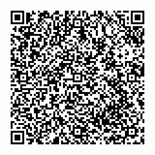 vCard 74951319039