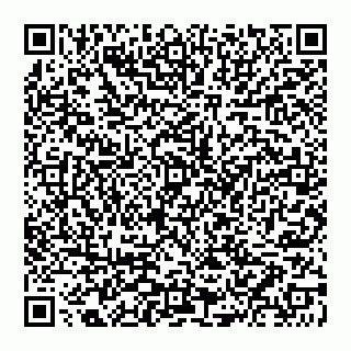 vCard 74951326331