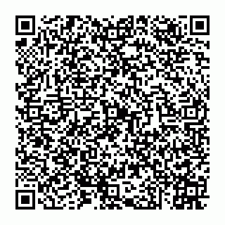 vCard 74951326339