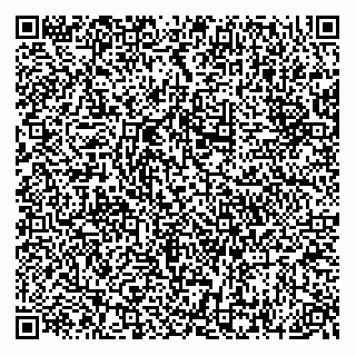 vCard 74951326409