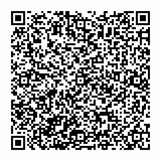 vCard 74951326529