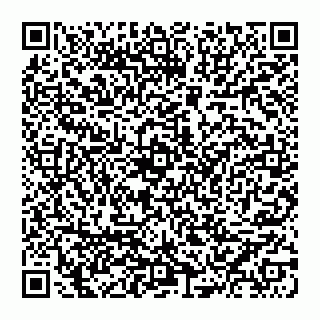 vCard 74951326541
