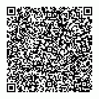 vCard 74951326553