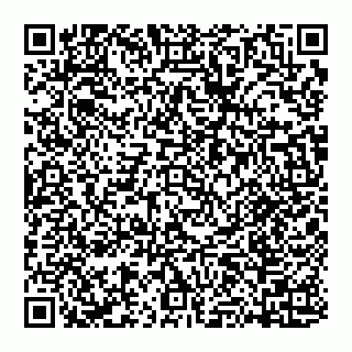 vCard 74951326681