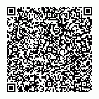 vCard 74951328371