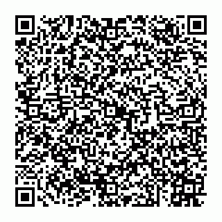 vCard 74951330341