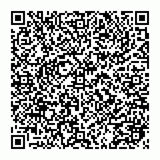 vCard 74951330433