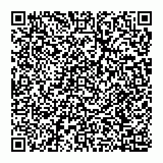 vCard 74951330527