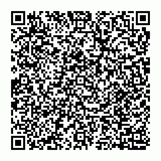 vCard 74951330531