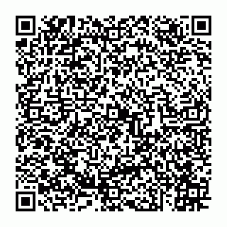 vCard 74951330803