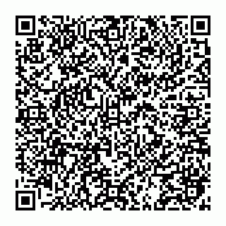 vCard 74951330911