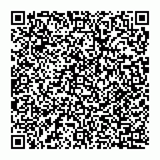 vCard 74951330980