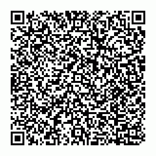 vCard 74951331318