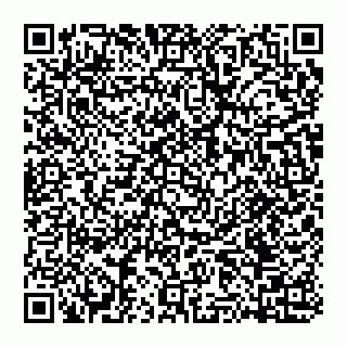 vCard 74951331355