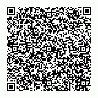 vCard 74951331363