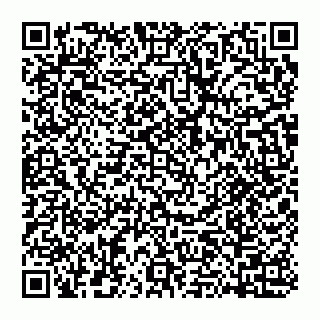 vCard 74951331370