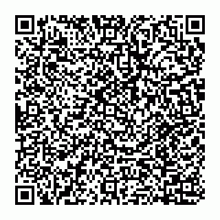 vCard 74951331373