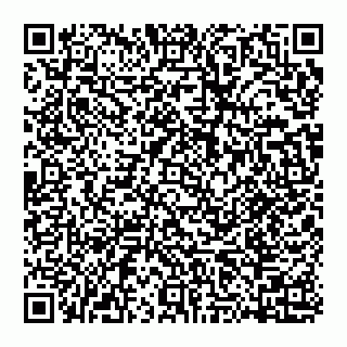 vCard 74951331421