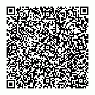 vCard 74951331493