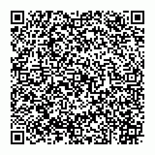 vCard 74951331511