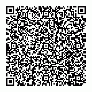 vCard 74951331771