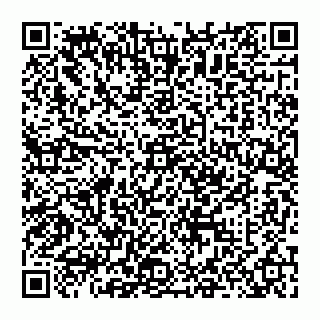 vCard 74951331773