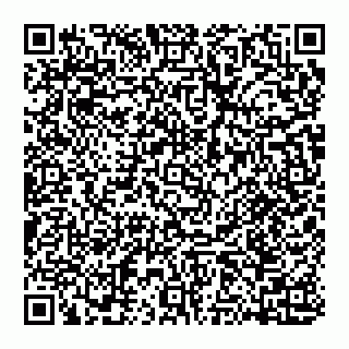 vCard 74951331774