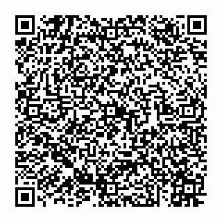 vCard 74951331903