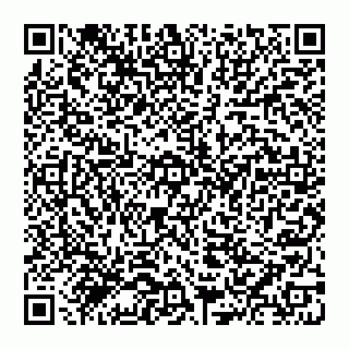 vCard 74951332054