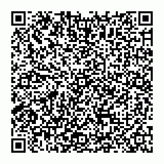 vCard 74951332817