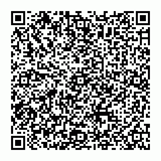 vCard 74951332829
