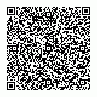 vCard 74951333359