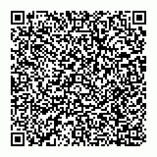 vCard 74951333367