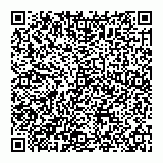 vCard 74951333368