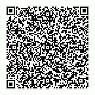 vCard 74951333373