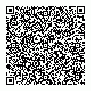 vCard 74951333815