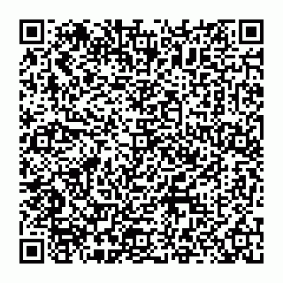 vCard 74951334132