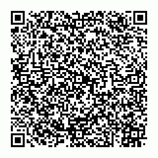 vCard 74951334168