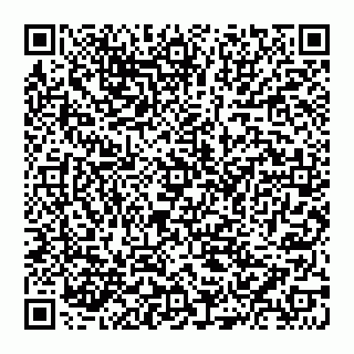 vCard 74951334179