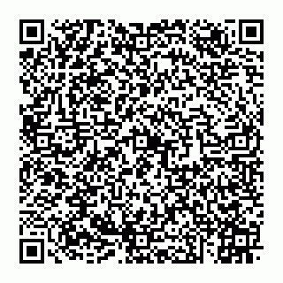 vCard 74951334181