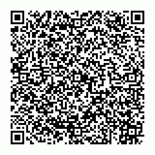 vCard 74951334204
