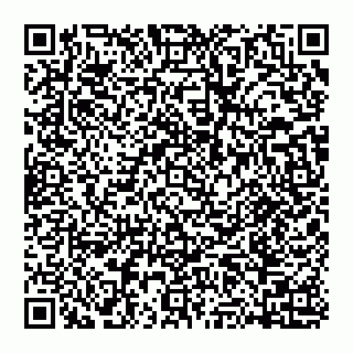 vCard 74951335464
