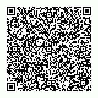 vCard 74951335908